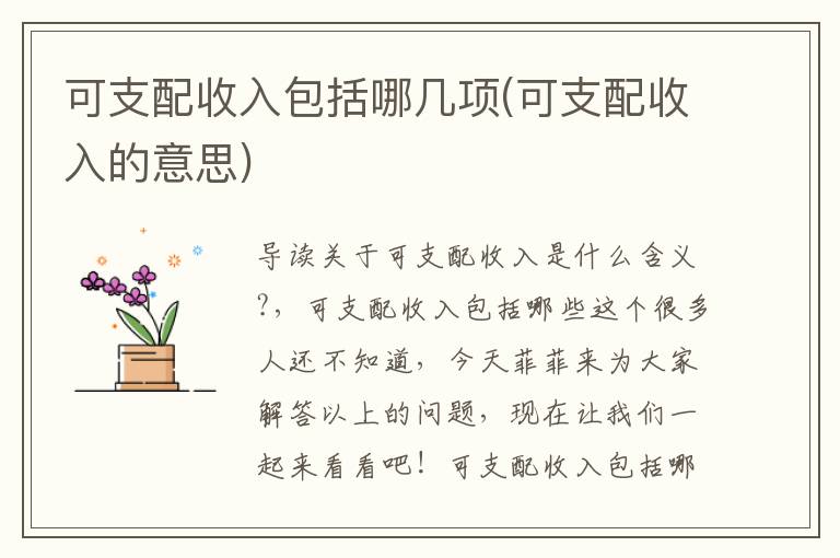 可支配收入包括哪几项(可支配收入的意思)