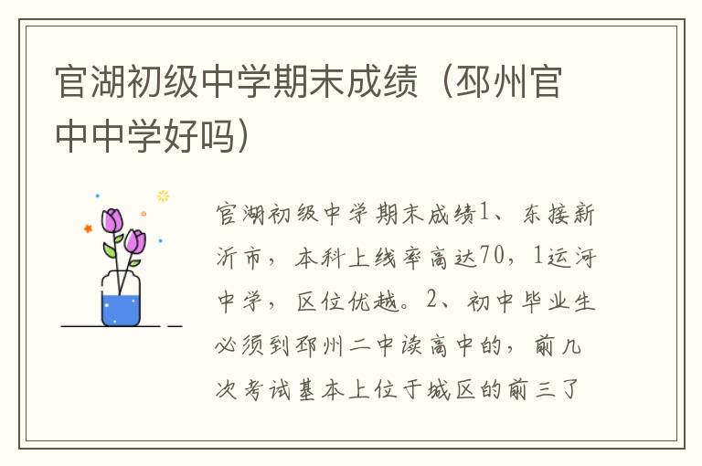 官湖初级中学期末成绩（邳州官中中学好吗）