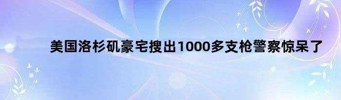 美国洛杉矶豪宅搜出1000多支枪 警察惊呆了