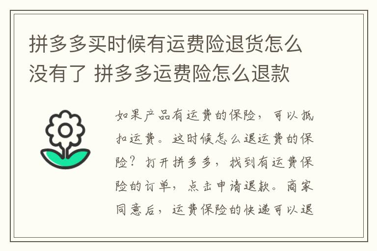 拼多多买时候有运费险退货怎么没有了 拼多多运费险怎么退款 为什么没有运费险呢