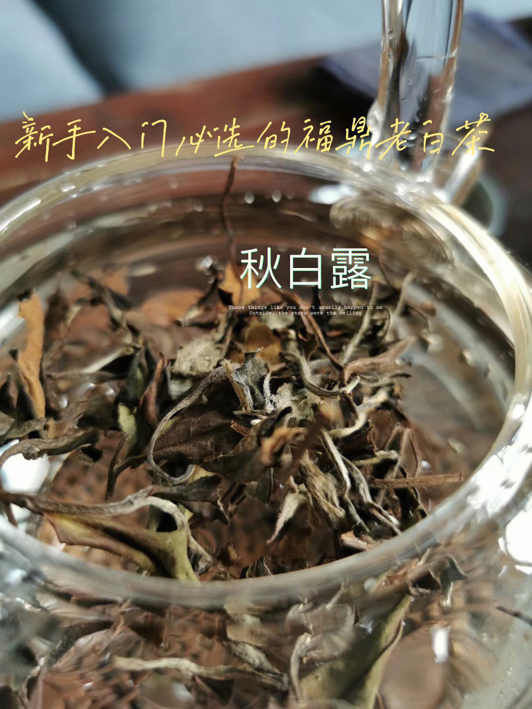 白老鹰茶的功效与禁忌__老鹰茶和红白茶的区别