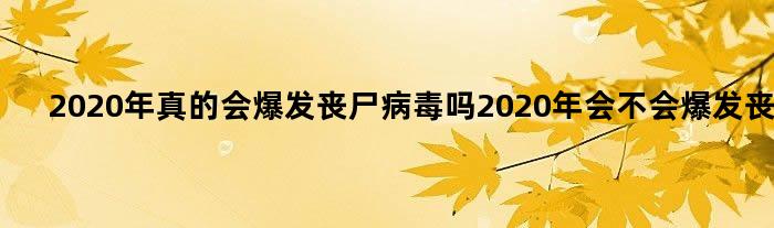 2020年真的会爆发丧尸病毒吗 2020年会不会爆发丧尸？