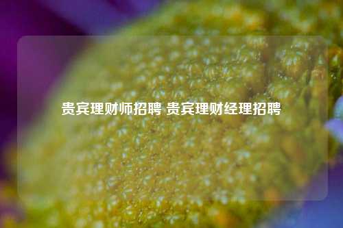 贵宾理财师招聘 贵宾理财经理招聘