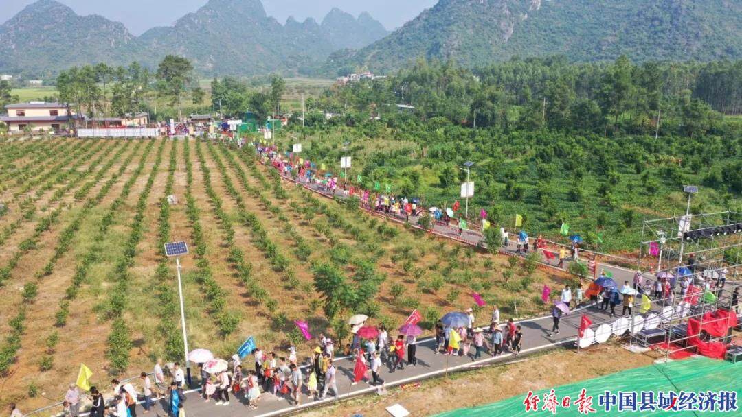 乡村旅游县域经济 乡村旅游全域旅游发展