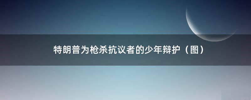 特朗普为枪杀抗议者的少年辩护（图）