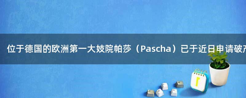 位于德国的欧洲第一大妓院帕莎（Pascha）已于近日申请破产保护