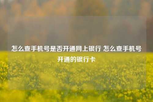 怎么查手机号是否开通网上银行 怎么查手机号开通的银行卡