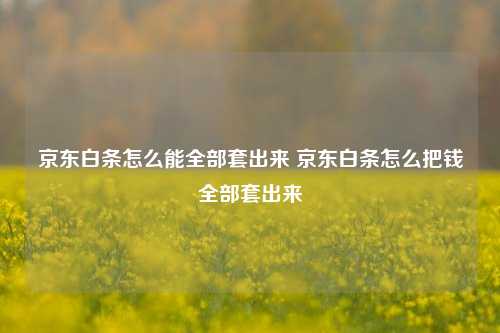 京东白条怎么能全部套出来 京东白条怎么把钱全部套出来