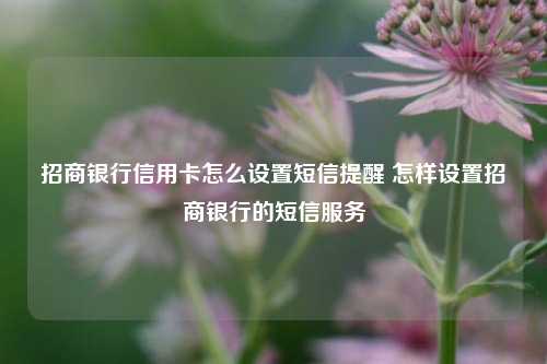 招商银行信用卡怎么设置短信提醒 怎样设置招商银行的短信服务