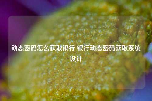 动态密码怎么获取银行 银行动态密码获取系统设计