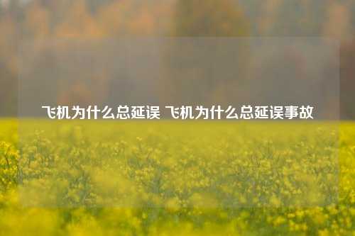 飞机为什么总延误 飞机为什么总延误事故