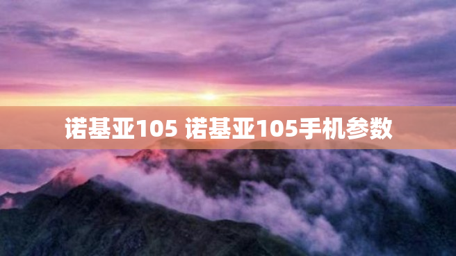 诺基亚105 诺基亚105手机参数