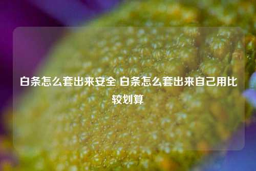 白条怎么套出来安全 白条怎么套出来自己用比较划算