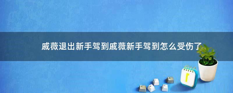 戚薇退出新手驾到 戚薇新手驾到怎么受伤了