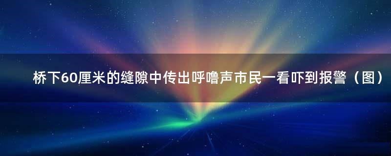 桥下60厘米的缝隙中传出呼噜声 市民一看吓到报警（图）