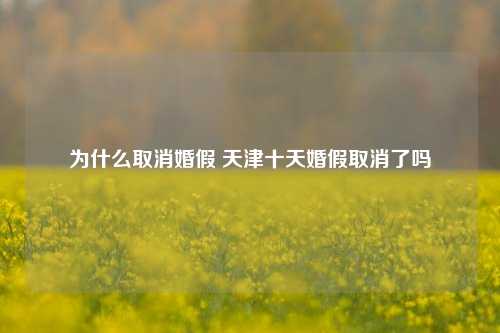 为什么取消婚假 天津十天婚假取消了吗