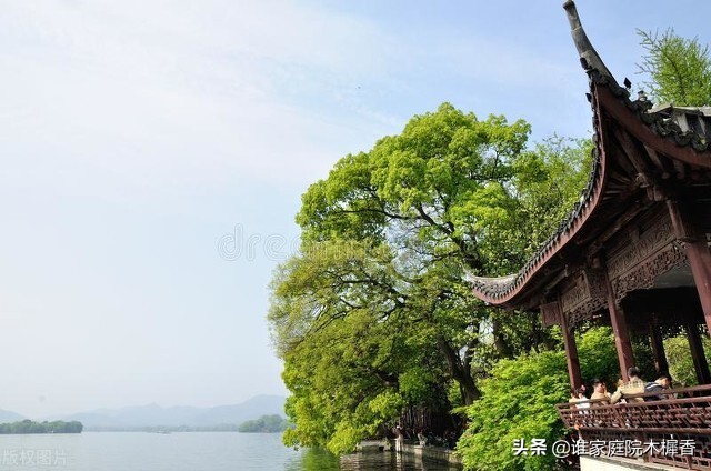 饮湖初晴后雨古诗朗读_饮湖初晴后雨古诗视频_