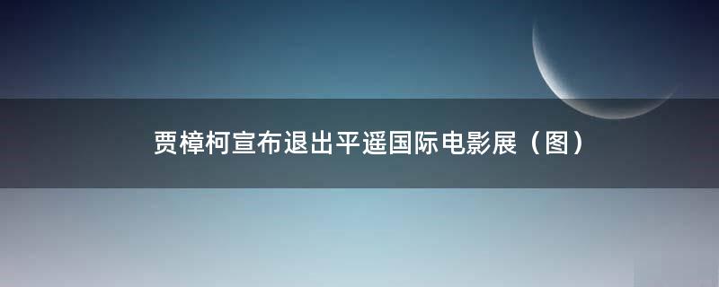 贾樟柯宣布退出平遥国际电影展（图）