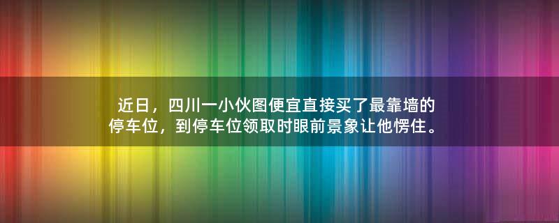 近日，四川一小伙图便宜直接买了最靠墙的停车位，到停车位领取时眼前景象让他愣住。