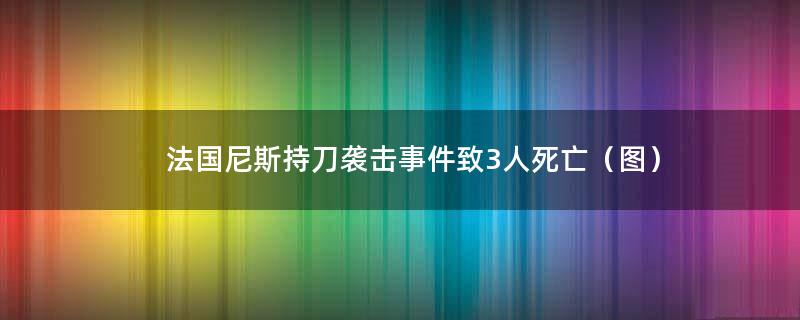 法国尼斯持刀袭击事件致3人死亡（图）