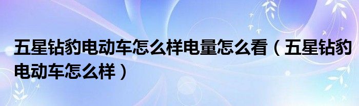 五星钻豹电动车电机功率在哪看_五星钻豹电动车电量怎么看_