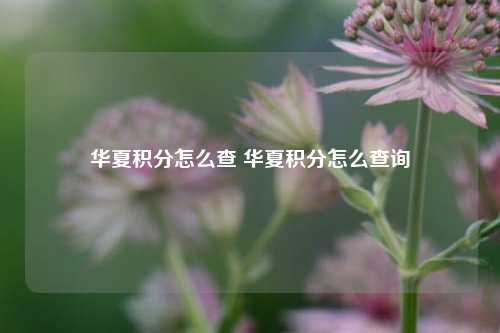 华夏积分怎么查 华夏积分怎么查询