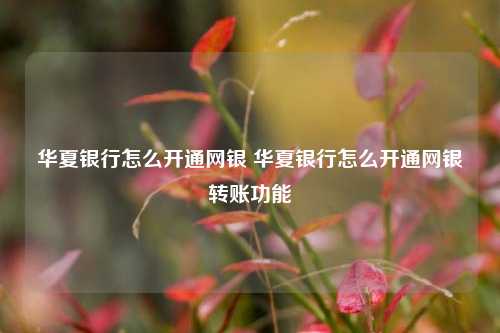 华夏银行怎么开通网银 华夏银行怎么开通网银转账功能