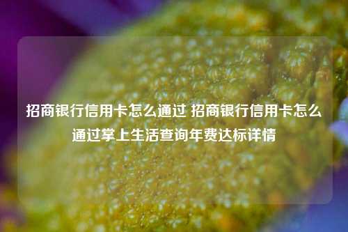 招商银行信用卡怎么通过 招商银行信用卡怎么通过掌上生活查询年费达标详情