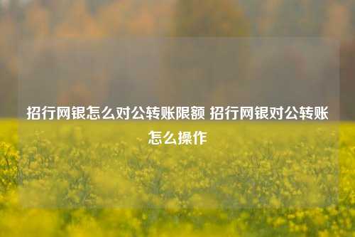 招行网银怎么对公转账限额 招行网银对公转账怎么操作