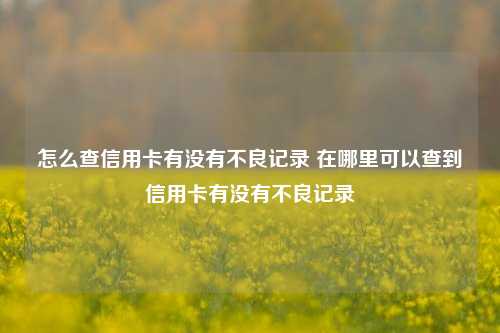 怎么查信用卡有没有不良记录 在哪里可以查到信用卡有没有不良记录