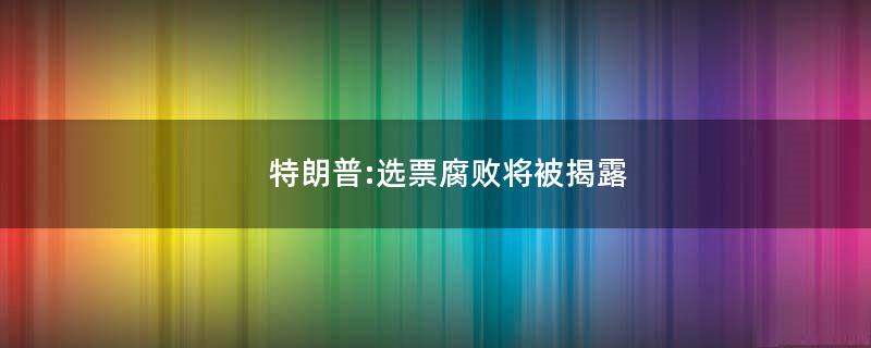 特朗普:选票腐败将被揭露