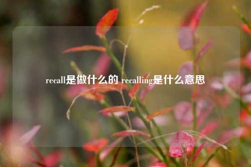 recall是做什么的 recalling是什么意思