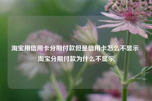 淘宝用信用卡分期付款但是信用卡怎么不显示 淘宝分期付款为什么不显示