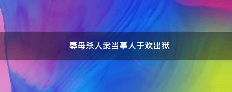 辱母杀人案当事人于欢出狱