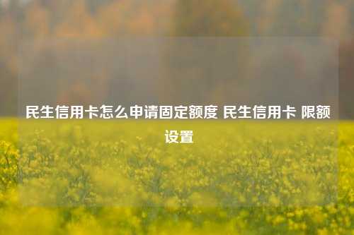 民生信用卡怎么申请固定额度 民生信用卡 限额 设置