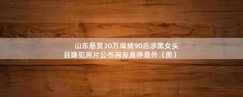 山东悬赏30万缉捕90后涉黑女头目 嫌犯照片公布网友直呼意外（图）