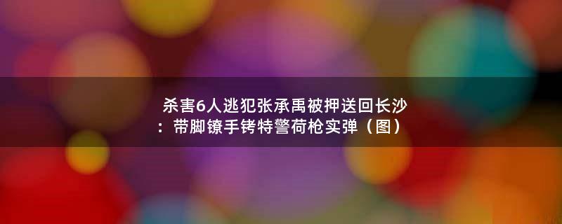 杀害6人逃犯张承禹被押送回长沙：带脚镣手铐 特警荷枪实弹（图）