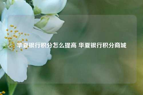 华夏银行积分怎么提高 华夏银行积分商城