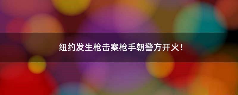 纽约发生枪击案枪手朝警方开火！