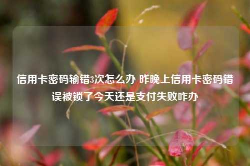 信用卡密码输错3次怎么办 昨晚上信用卡密码错误被锁了今天还是支付失败咋办