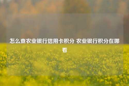 怎么查农业银行信用卡积分 农业银行积分在哪看