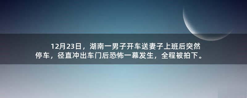 12月23日，湖南一男子开车送妻子上班后突然停车，径直冲出车门后恐怖一幕发生，全程被拍下。