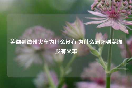 芜湖到漳州火车为什么没有 为什么涡阳到芜湖没有火车