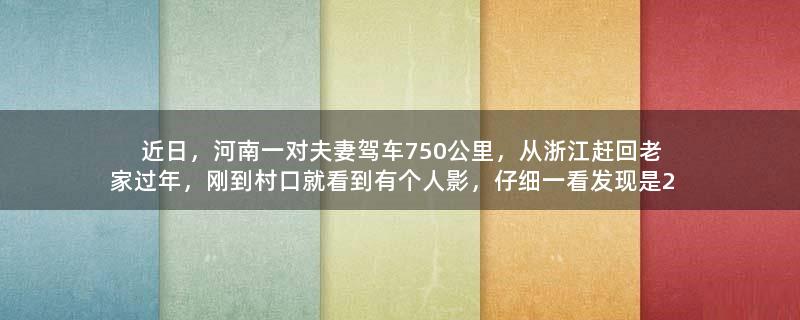 近日，河南一对夫妻驾车750公里，从浙江赶回老家过年，刚到村口就看到有个人影，仔细一看发现是2