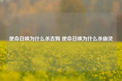 使命召唤为什么杀吉姆 使命召唤为什么杀幽灵