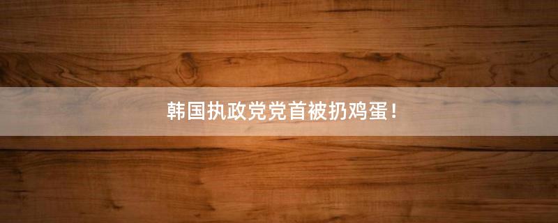 韩国执政党党首被扔鸡蛋！