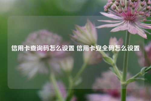 信用卡查询码怎么设置 信用卡安全码怎么设置