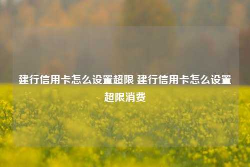 建行信用卡怎么设置超限 建行信用卡怎么设置超限消费