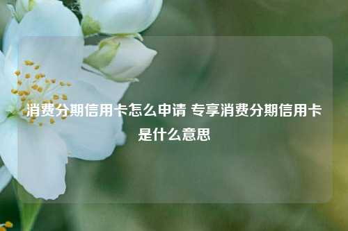 消费分期信用卡怎么申请 专享消费分期信用卡是什么意思