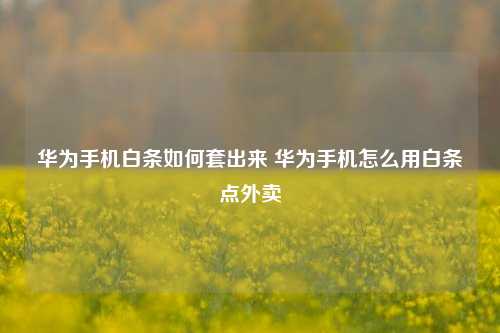 华为手机白条如何套出来 华为手机怎么用白条点外卖